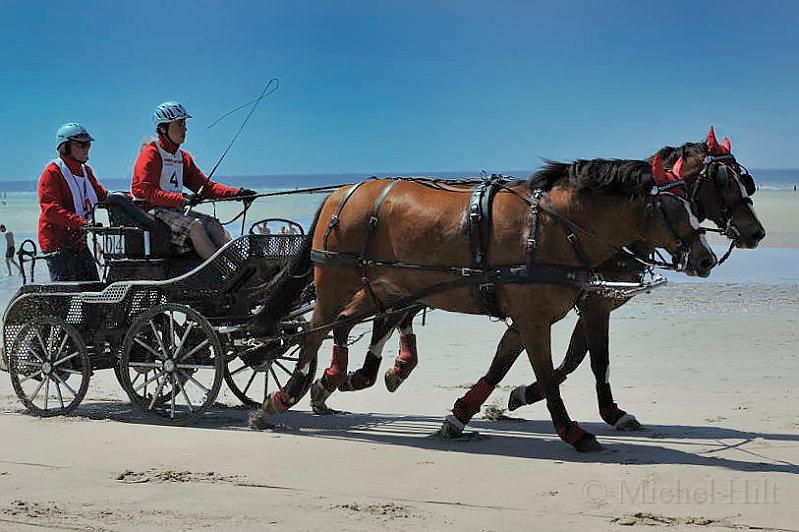 _D3X2215-Marathon des dunes de Fland.JPG